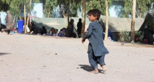 La mitad de los niños afganos sufrirá desnutrición severa este año: Unicef